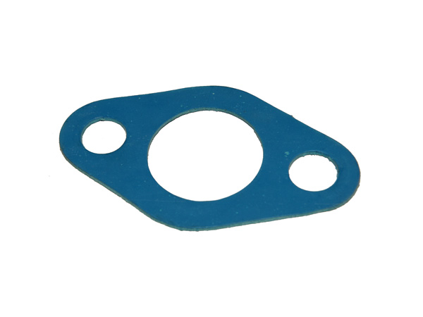 Gasket C12V190.01.01